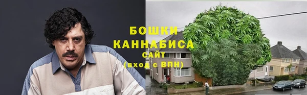 2c-b Новозыбков