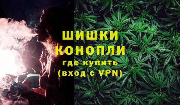 2c-b Новозыбков